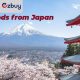 An Efficient Service for Buying Goods from Japan to UK