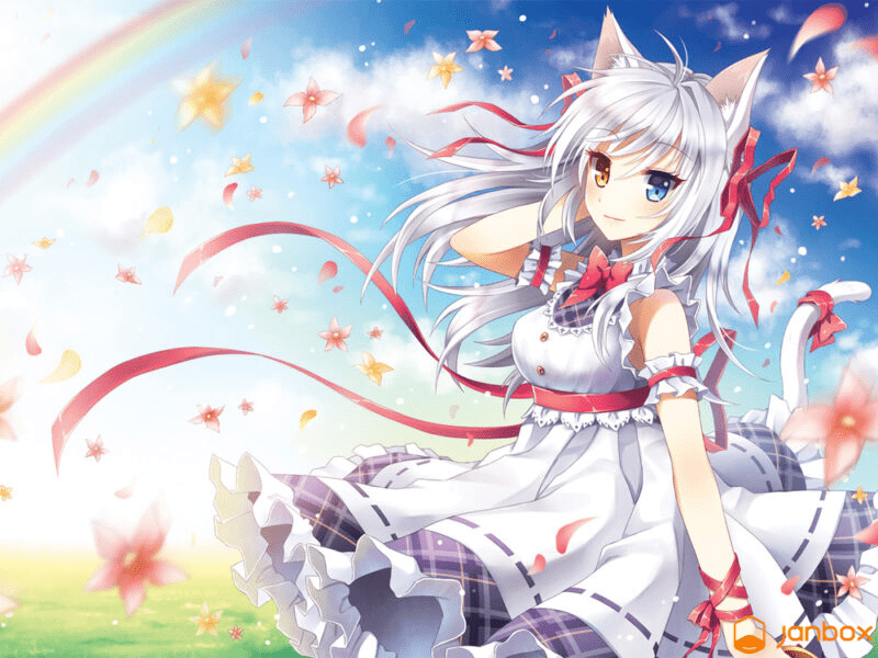 25+ Best Cute Anime Cat Girl Of All Time [Updated]