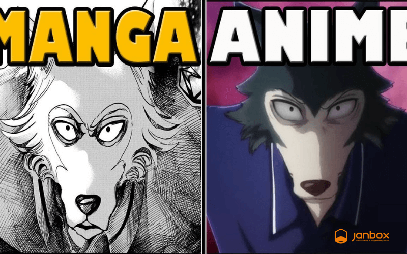 The difference between manga and anime