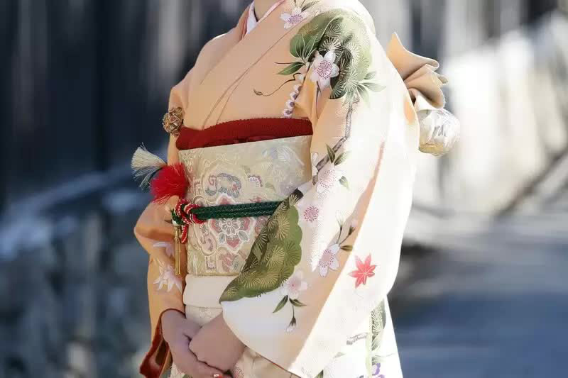 Houmongi_kimono giá bao nhiêu