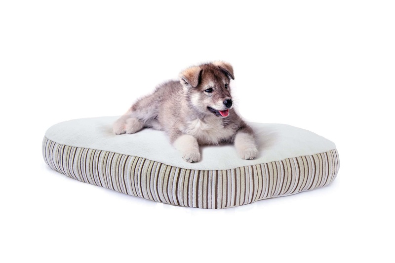eco-friendly-dog-beds