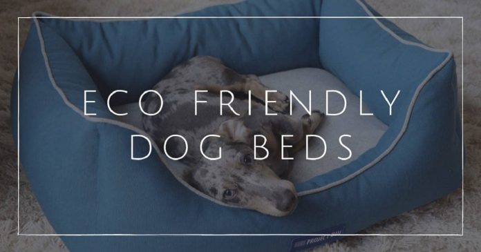 eco-friendly dog beds