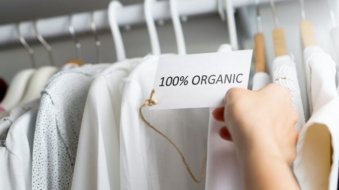 eco-friendly-clothing-brands