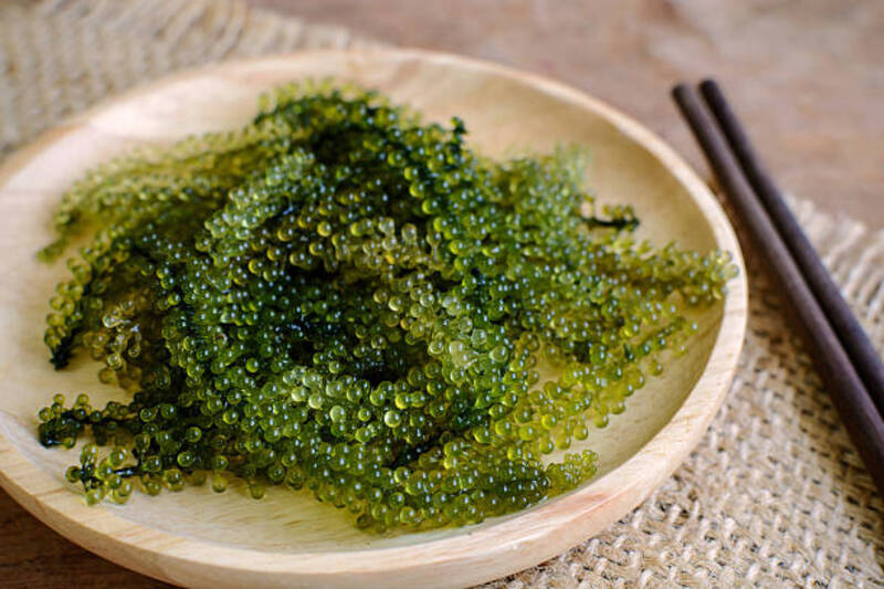 types-of-japanese-seaweed-umibudo