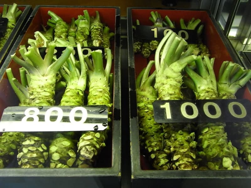 What-makes-real-wasabi-so-expensive